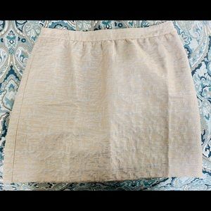 Shimmery Ann Taylor LOFT Skirt